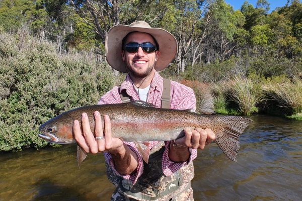 Big Rainbow-1663089500