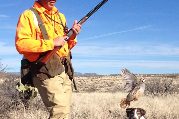 Chukar hunts-1663089503